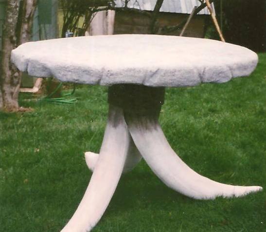 mammoth tusk-rock table